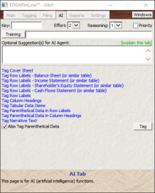 The EDGARsuite™ AI window provides everything you need for AI-driven automatic iXBRL tagging of your Word document.